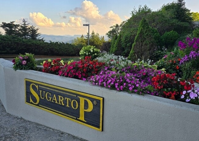 property at 303 Sugar Top Dr