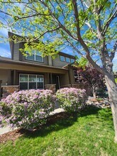 864 Tarpan Pl in Castle Rock, CO - Building Photo - Building Photo
