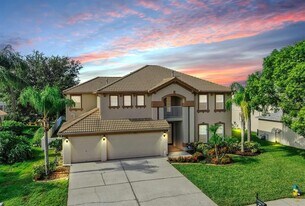 2336 Winsloe Dr in Trinity, FL - Building Photo
