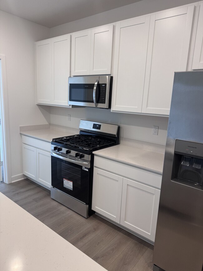 15222 Swallow Fls Wy in Fishers, IN - Building Photo - Building Photo