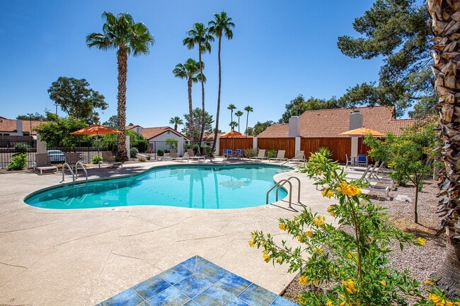 Orange Tree Village in Tucson, AZ - Building Photo - Building Photo
