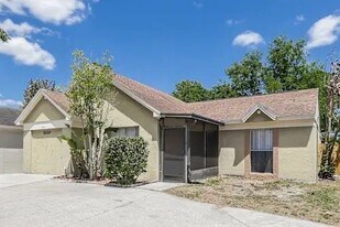 8515 Misty River Ct in Tampa, FL - Building Photo
