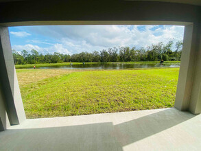 35464 Ackley Trce in Zephyrhills, FL - Building Photo - Building Photo