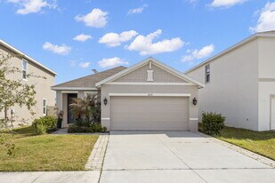 31130 Penny Surf Lp in Wesley Chapel, FL - Building Photo
