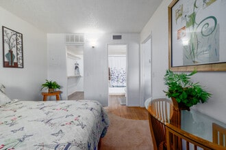 Santa Cruz in Tucson, AZ - Foto de edificio - Interior Photo