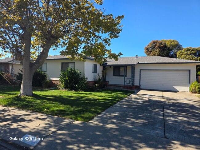 property at 3979 Mulberry Dr