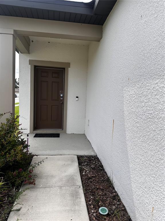 35576 Shade Fern Ln in Zephyrhills, FL - Building Photo - Building Photo