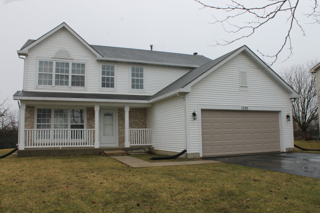 1253 E Essex Ct in Round Lake Beach, IL - Building Photo