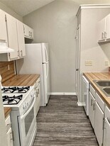 1809 Prairie Knoll Ct in Austin, TX - Building Photo