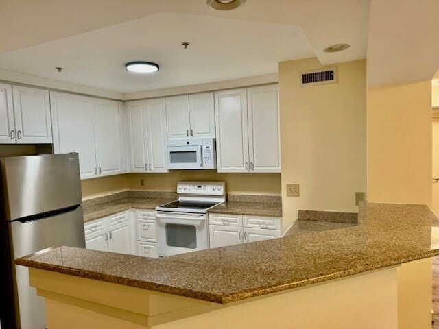 175 Cottage St, Unit 309 in Chelsea, MA - Foto de edificio