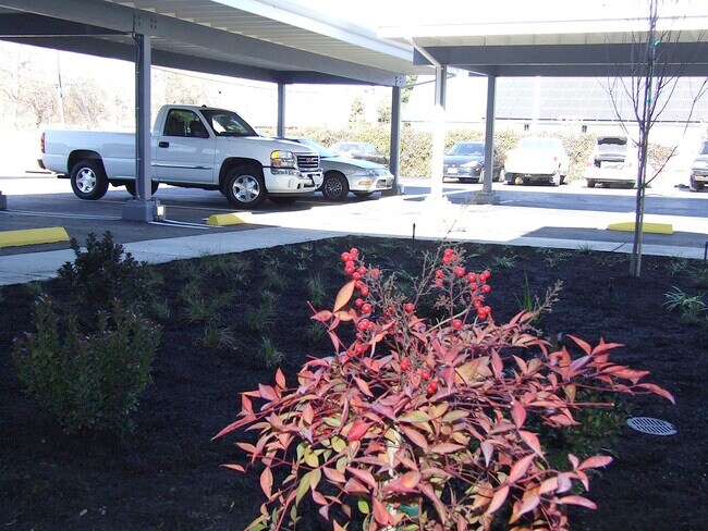 3142 Grant St, Unit 8 in Concord, CA - Foto de edificio - Building Photo