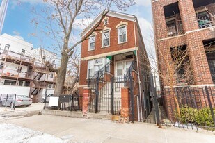 1115 W 17th St in Chicago, IL - Building Photo