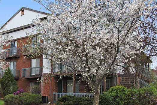 Oxford Arms in Edison, NJ - Building Photo