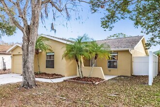 12219 Hidden Brook Dr in Tampa, FL - Building Photo - Building Photo