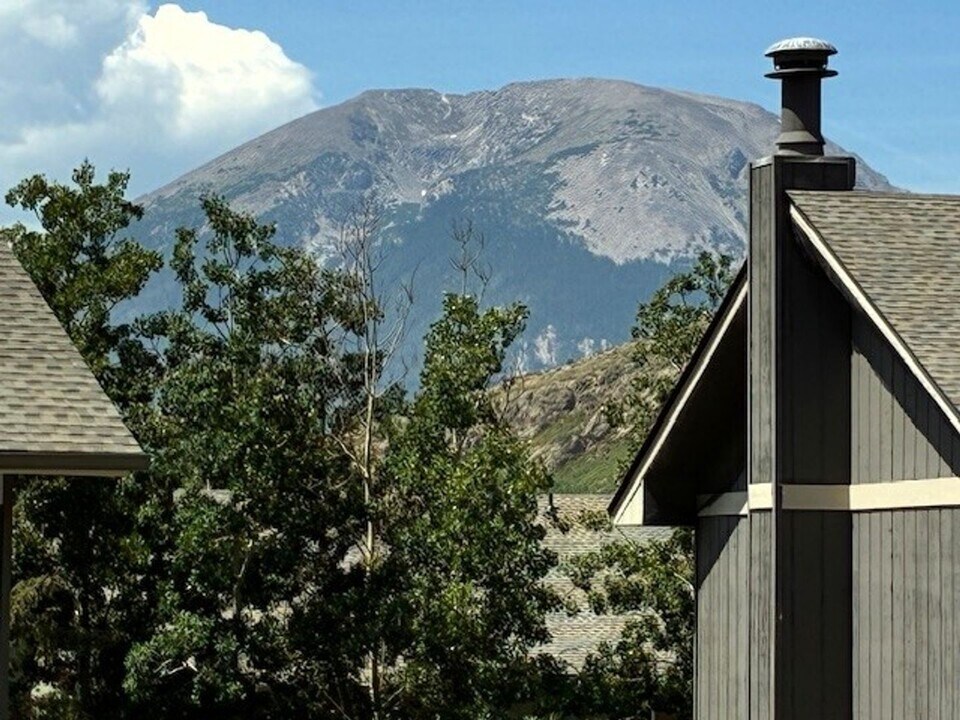 953 Straight Creek Dr in Dillon, CO - Building Photo