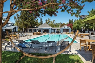 Bell Almaden in San Jose, CA - Building Photo