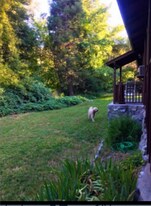 13992 Irving Ln in Lytle Creek, CA - Building Photo