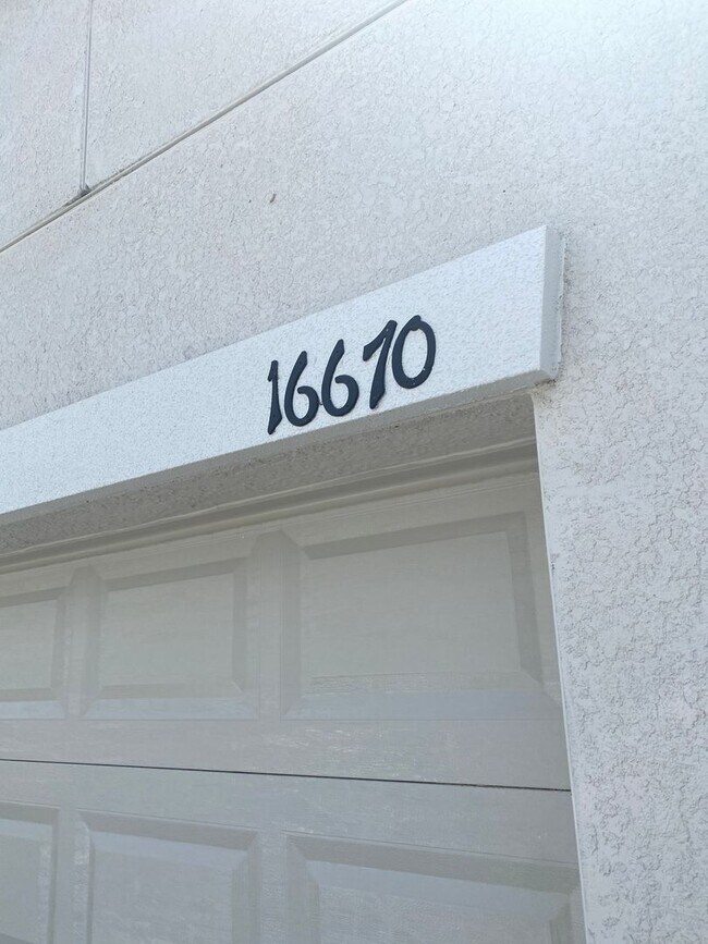 16670 Kingman Reef St in Wimauma, FL - Building Photo - Building Photo