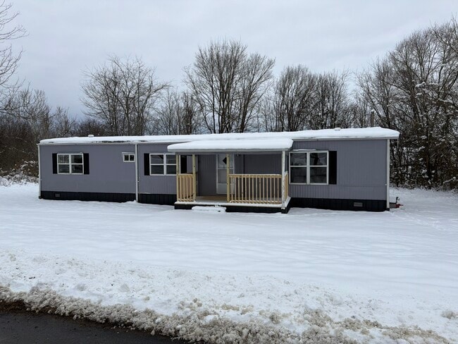 208 Slate Hill Rd in Telford, TN - Foto de edificio - Building Photo