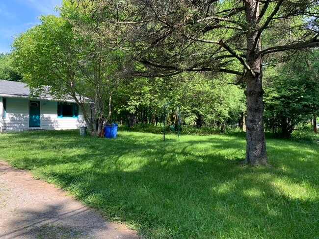 246 Sapsucker Woods Rd in Ithaca, NY - Building Photo - Building Photo