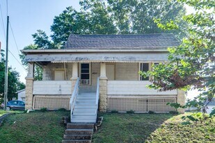 491 Allyn St in Akron, OH - Building Photo