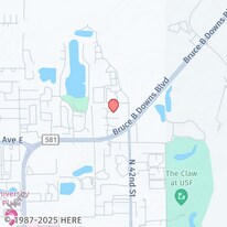 4015 Angel Oak Ct in Tampa, FL - Building Photo