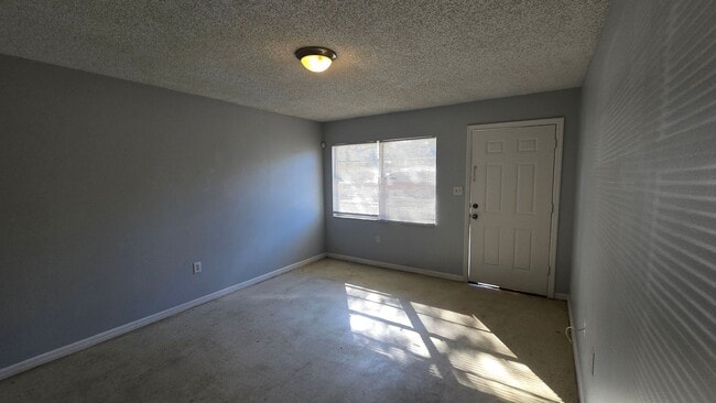 1023 Birchwood Ct in Leesburg, FL - Building Photo - Building Photo