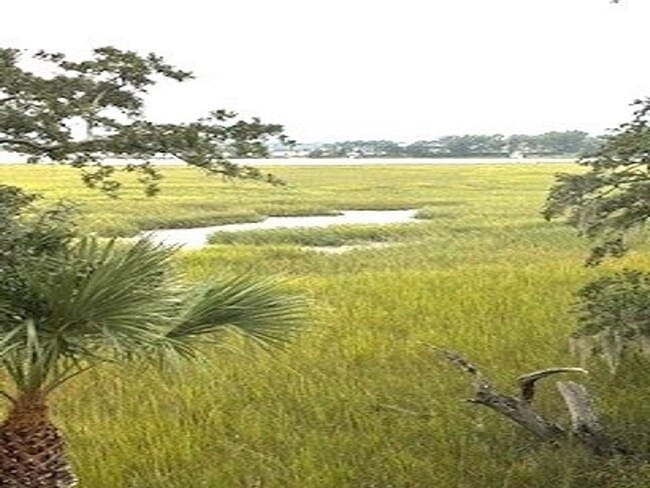 25 Compass Point Rd in Hilton Head Island, SC - Building Photo - Building Photo