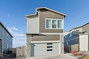 11197 House Finch Ln in Colorado Springs, CO - Building Photo