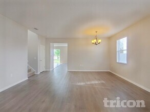 19706 Timberbluff Dr in Land O Lakes, FL - Building Photo - Building Photo