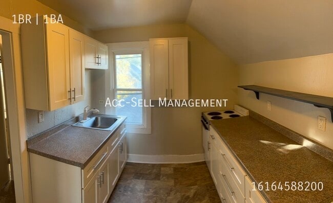 32 Colfax St NE in Grand Rapids, MI - Building Photo - Building Photo