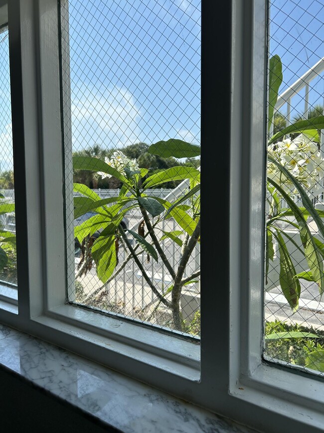 441 Ocean Park Ln in Cape Canaveral, FL - Building Photo - Building Photo