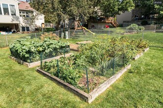 4235 Stoneham Ln NW in Rochester, MN - Building Photo - Building Photo