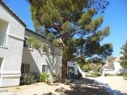 property at 3450 Erva St