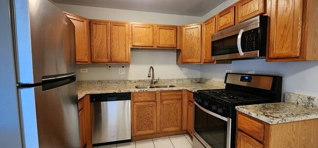 257 Washington Blvd in Oak Park, IL - Building Photo - Building Photo