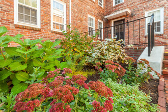 38 Gibson St in Cambridge, MA - Building Photo - Building Photo