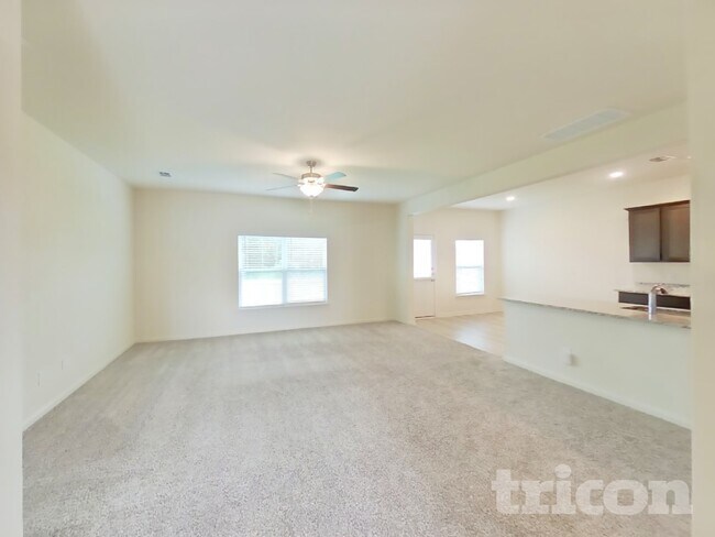 230 Banjo Trl in Newark, TX - Building Photo - Building Photo