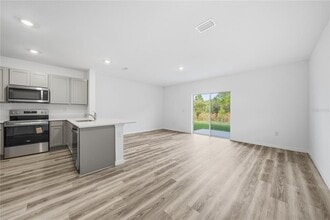 32497 Midsummer Night Ln in Wesley Chapel, FL - Building Photo - Building Photo