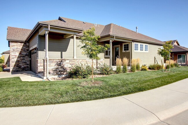 3548 New Haven Cir in Castle Rock, CO - Building Photo - Building Photo