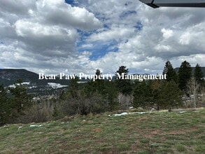 120 Rd P78 in Bailey, CO - Building Photo - Building Photo