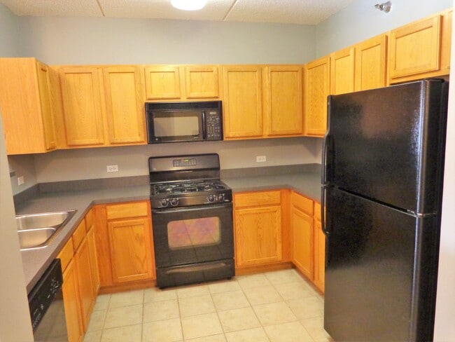 410 W Mahogany Ct in Palatine, IL - Building Photo - Building Photo