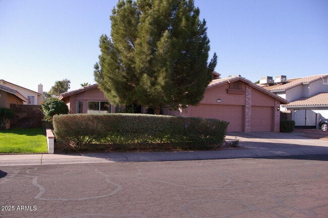 2793 W Jasper Dr in Chandler, AZ - Building Photo - Building Photo