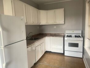 1909 W Argyle St, Unit 1 in Chicago, IL - Building Photo - Building Photo