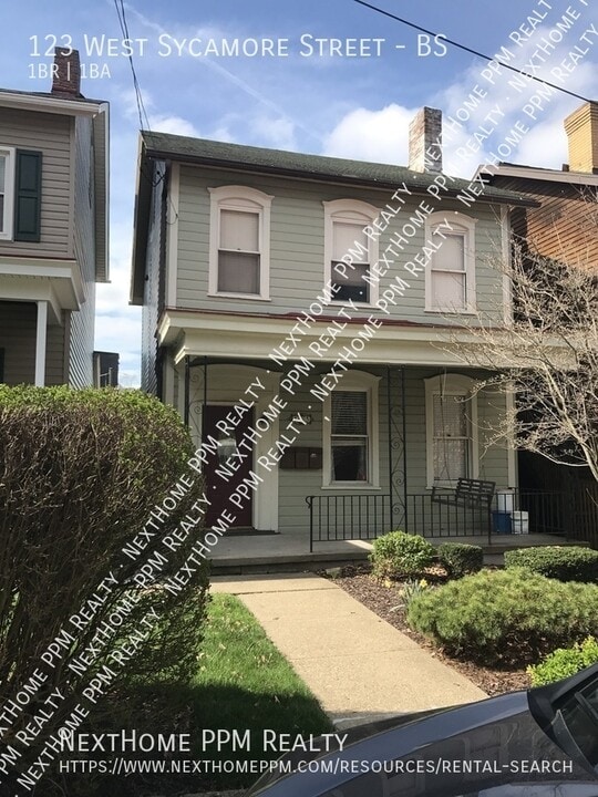 123 W Sycamore St in Pittsburgh, PA - Building Photo
