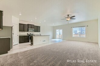 987 Cascade Falls St in Windsor, CO - Building Photo - Building Photo