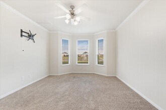 23213 Zinfandel Dr in Alvin, TX - Building Photo - Building Photo