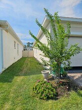 2066 Cove Point Rd in Port Orange, FL - Building Photo - Building Photo