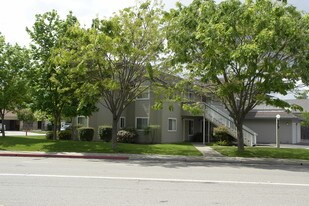 979 S Livermore Ave in Livermore, CA - Building Photo