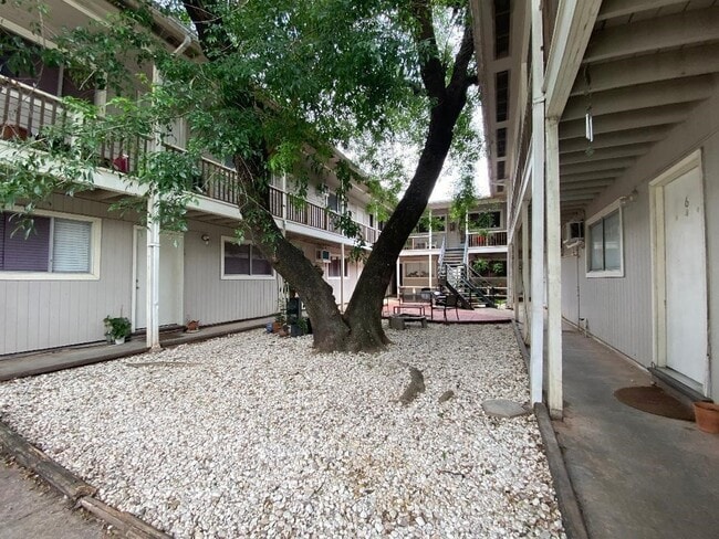205 Avondale St in Houston, TX - Building Photo - Building Photo