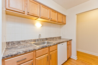 Catalpa Vista Apartments in Chicago, IL - Building Photo - Building Photo